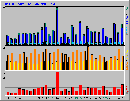 Daily usage for January 2013