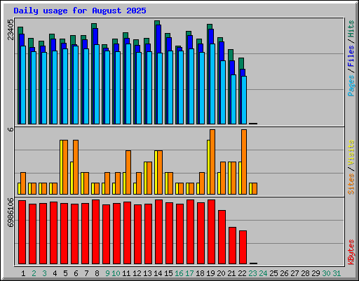 Daily usage for August 2025
