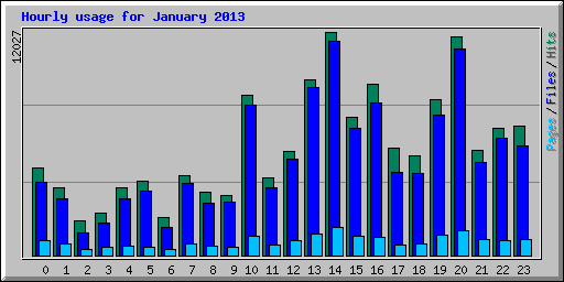Hourly usage for January 2013