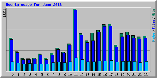 Hourly usage for June 2013