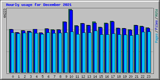 Hourly usage for December 2021