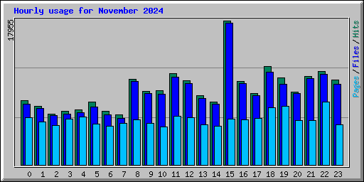 Hourly usage for November 2024