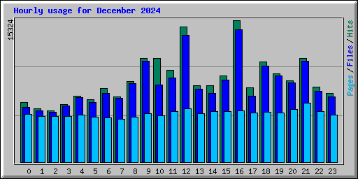 Hourly usage for December 2024