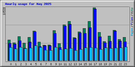 Hourly usage for May 2025