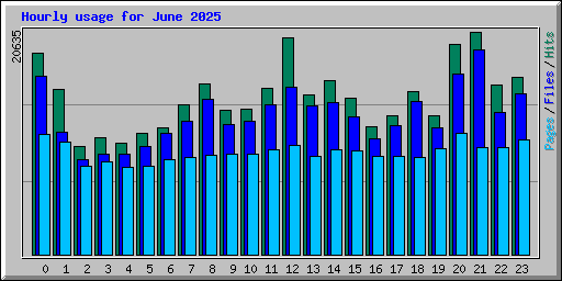 Hourly usage for June 2025