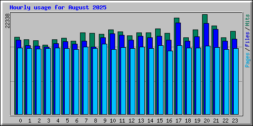 Hourly usage for August 2025