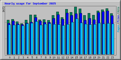 Hourly usage for September 2025