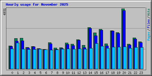 Hourly usage for November 2025