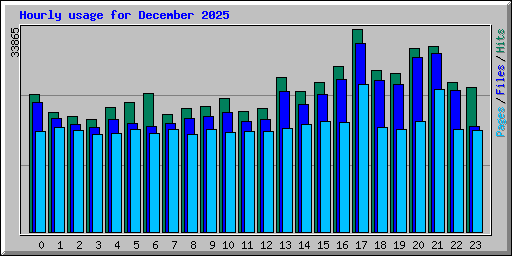 Hourly usage for December 2025