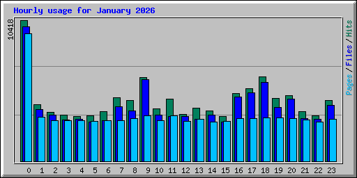 Hourly usage for January 2026